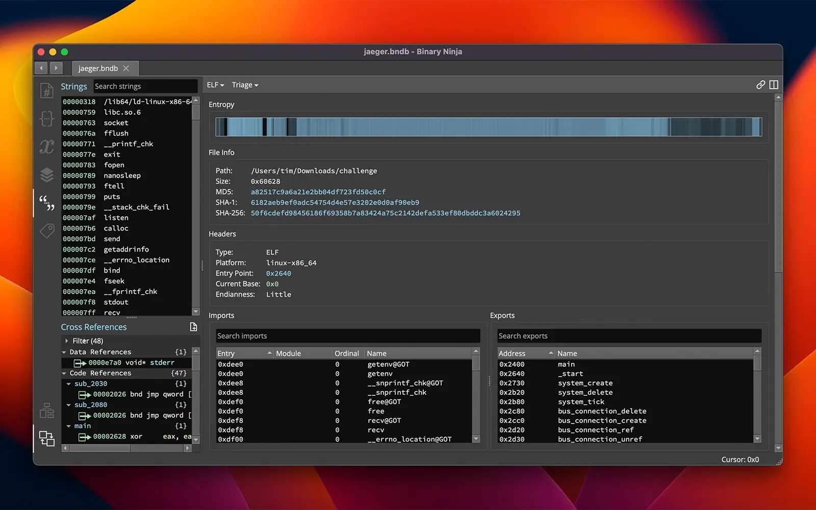 Binary Ninja screenshot 4